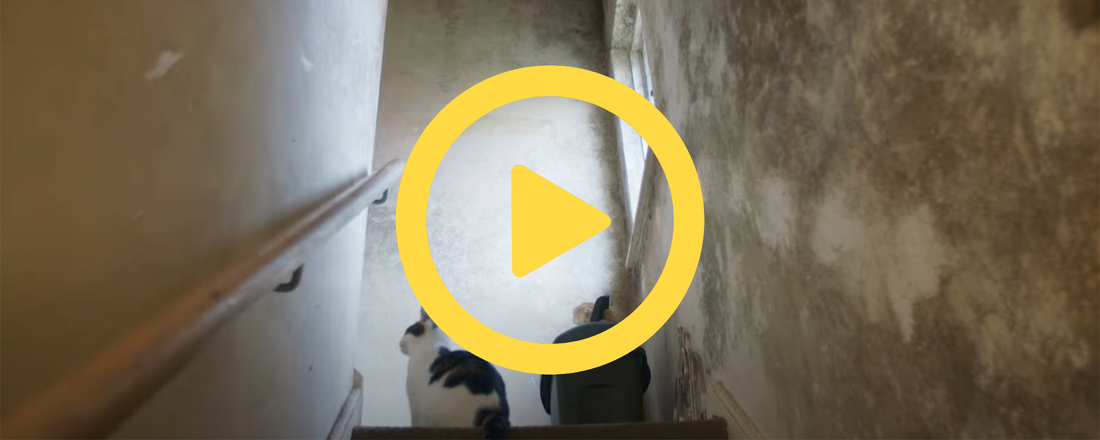 "I feel stressed in this house" &ndash; The impact of damp