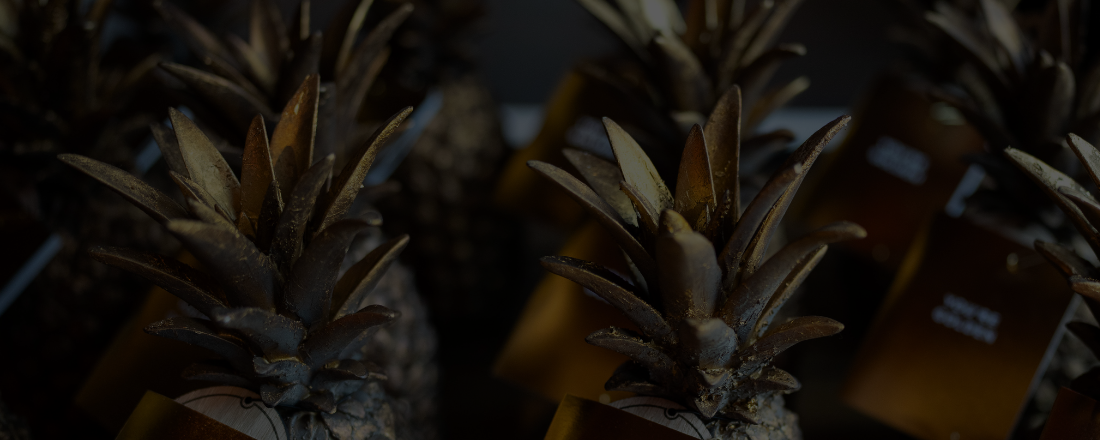 Website cover image (1) - pine 27