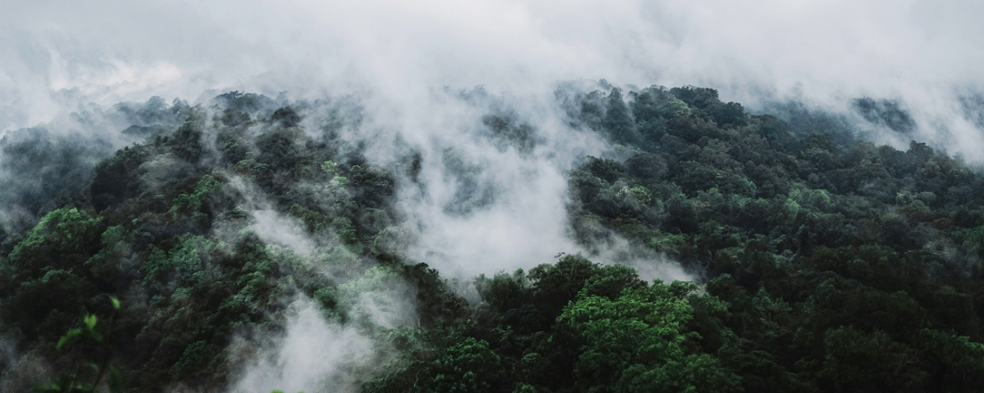 Circular construction could be positive tipping point according to climate research
